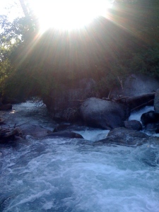 The Sun at the river...
